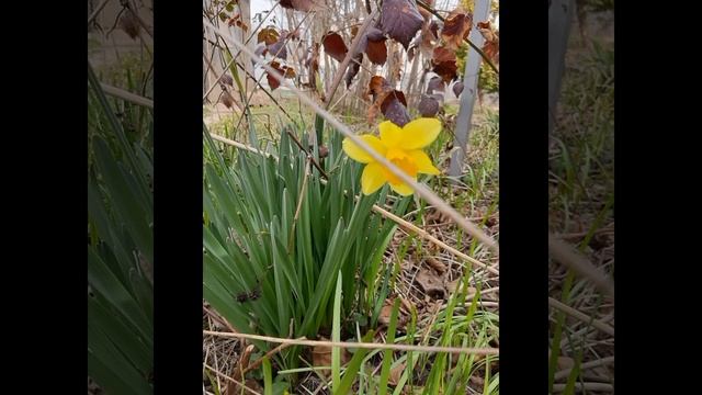 Доброе утро! Будьте счастливы каждое мгновенье!