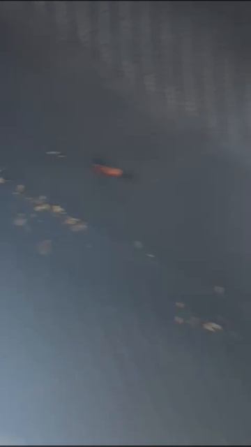 Пока переобували Вилочный погрузчик приехал JCB с двумя порезами)