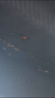 Пока переобували Вилочный погрузчик приехал JCB с двумя порезами)