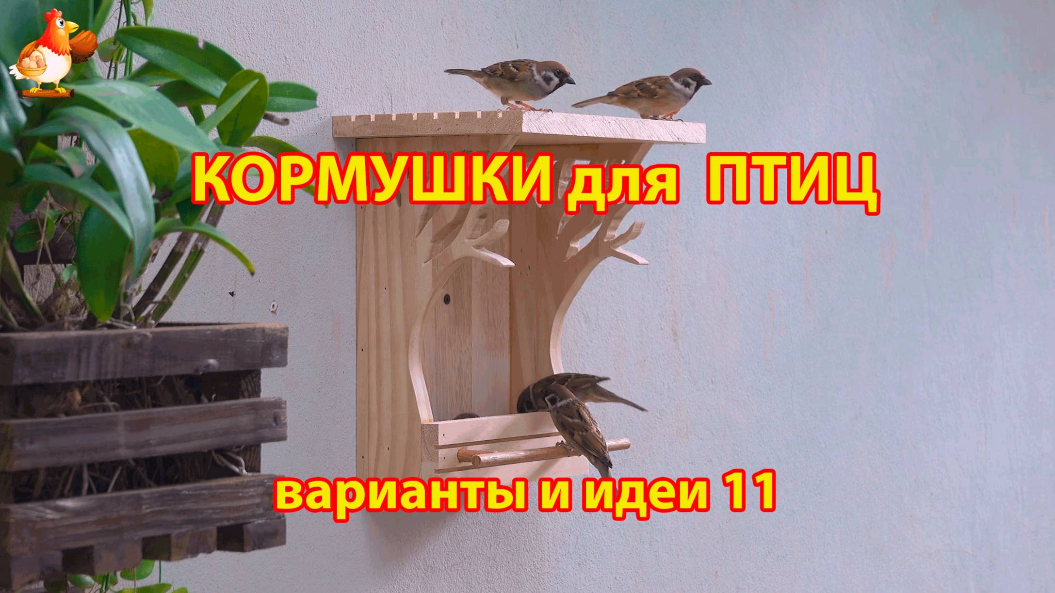 Кормушка для птиц своими руками как сделать пошагово  (11) 🪚🪛🔨 Идеи для дачи и сада❣️