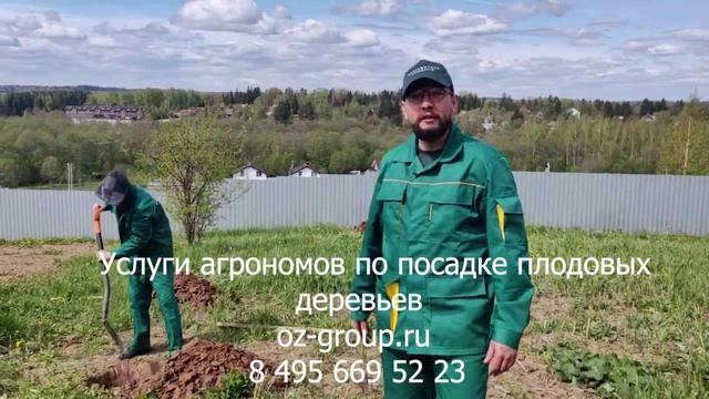 Услуги агрономов по посадке плодовых деревьев на даче. Выезд Агрономов по Москве и области. Звони!