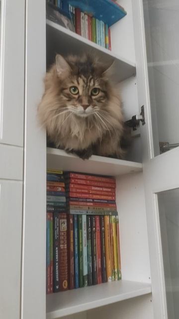 Доминик просто в шоке