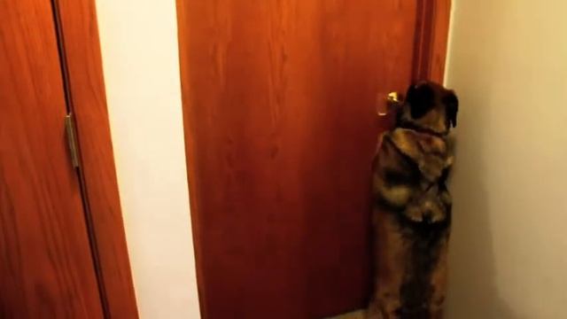 Delilah's a Clever Girl