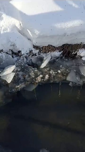 Снежные будни: Фермерская жизнь в морозный день