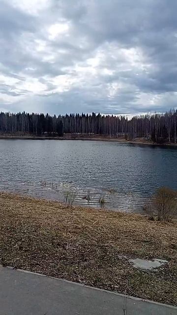 720p_Подружки_на_договорились_я_снимал_природу_вы_нас_снимаете