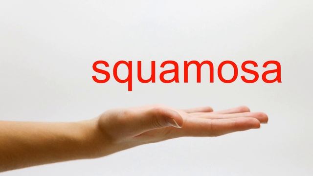 How to Pronounce squamosa - American English