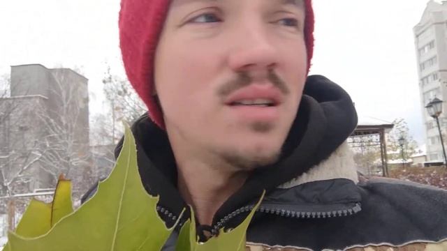 Трохи про палатани