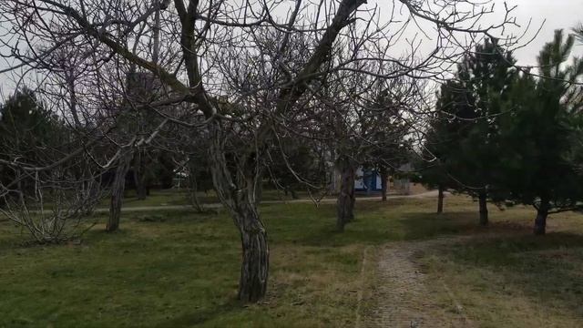 Скандинавская хотьба