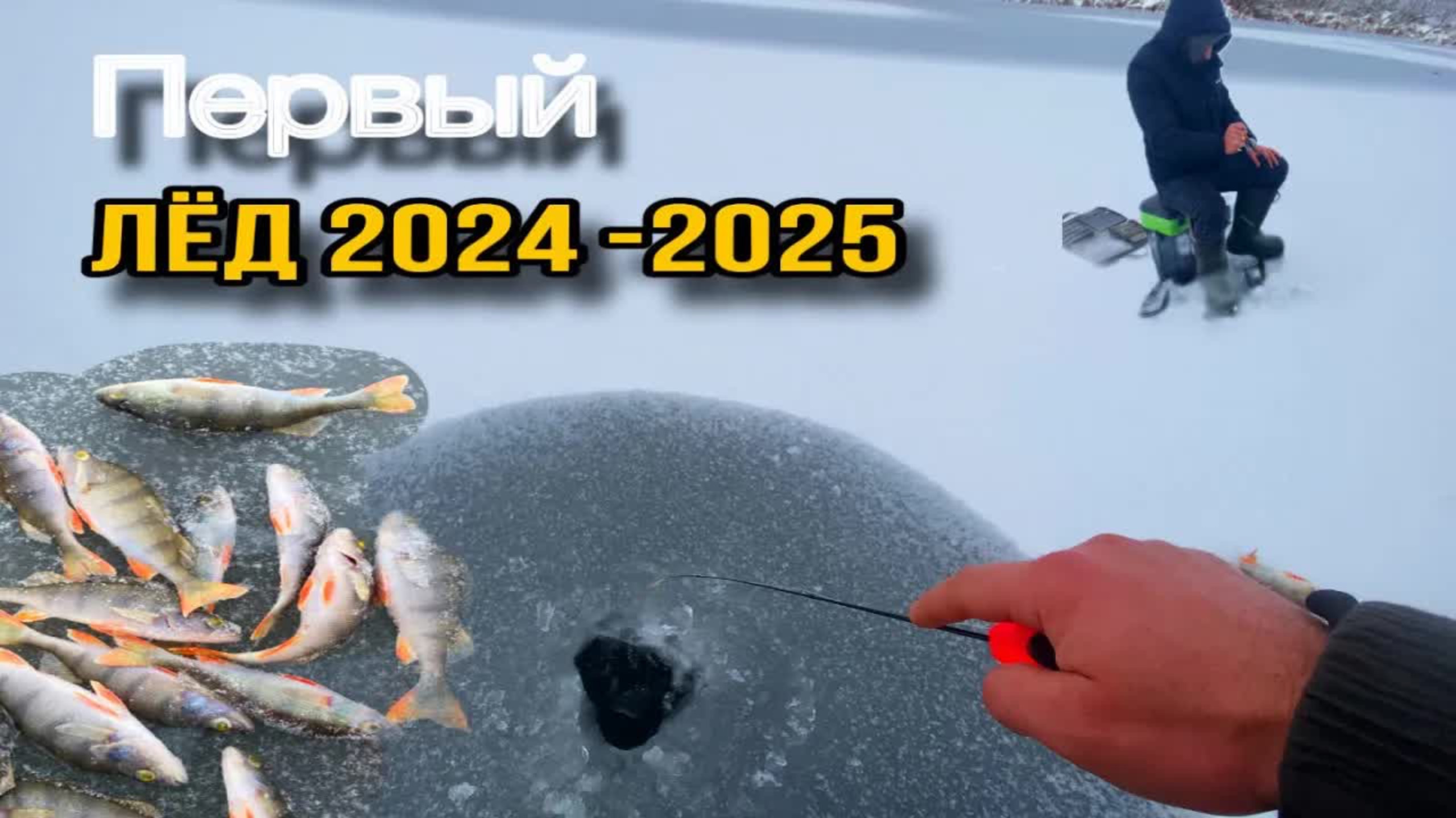 ОПАСНЫЙ ПЕРВЫЙ ЛЕД!!НАКОНЕЦ - ТО ОТКРЫЛ СЕЗОН 2024 - 2025!!НАТАСКАЛ окуней на БЕЗМОТЫЛКУ!!