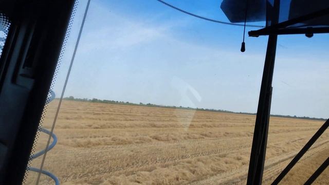 закончили со льном