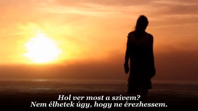 Celine Dion :  Where Does My Heart Beat Now  / Hol ver a szívem (magyar felirattal)