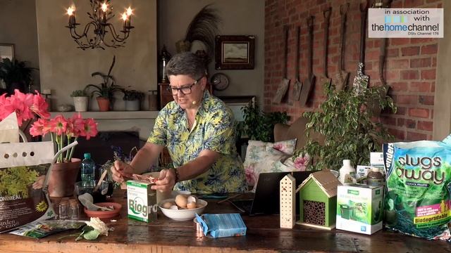 Creatures and Critters Masterclass with Tanya Visser