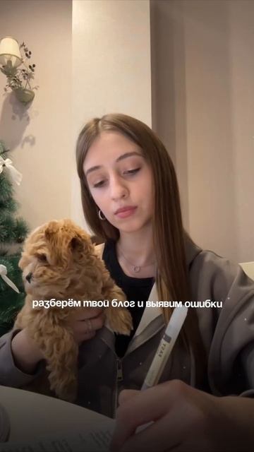 бесплатная консультация по продвижению, отмечайся в комментариях