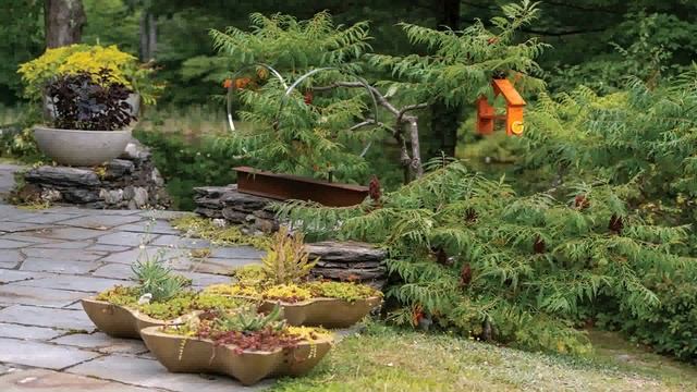 Front Yard Landscaping Ideas With Pine Trees