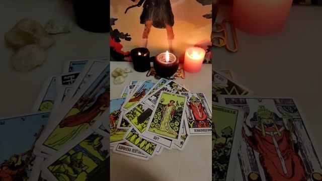 Таро для мужчин.  Истинная причина её отдаления от Вас.