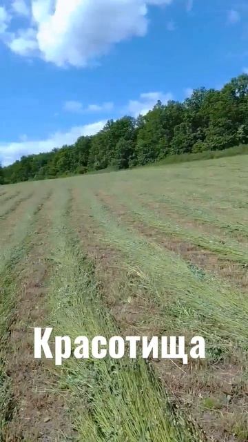 Природа моего села! Сенокос 2023