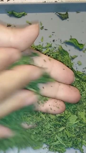Dried Mint powder recipe | طريقة عمل نعنع يابس | #shorts