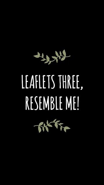 Leaflets Three, Resemble Me / Poison Ivy