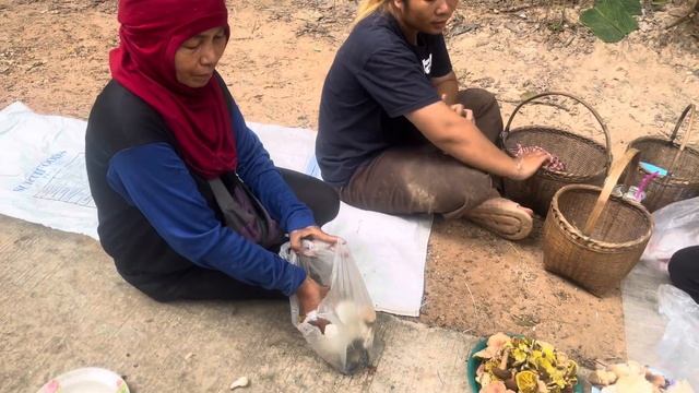 เห็ดป่า : Mushroom Foraging Adventure: From Forest to Market!