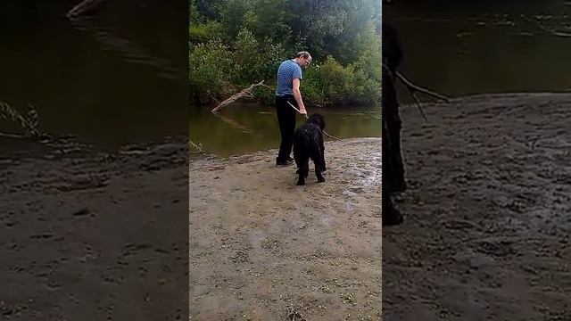 Хан Алтай из Племени Кедра