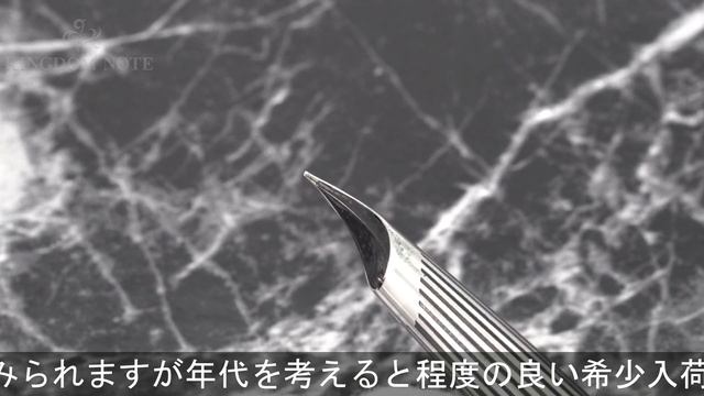 PILOT パイロット 万年筆 ミュー ストライプ 細字
