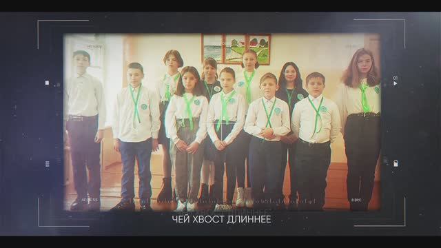 Чей хвост длиннее