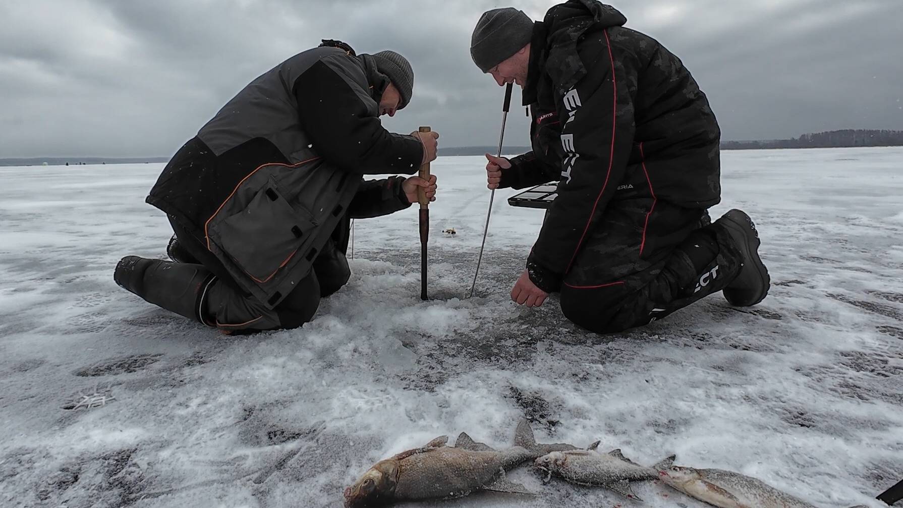 Таких еще не ловил зимой. Рыбалка на Рузе в феврале..
