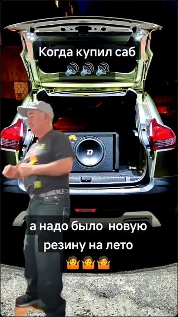 #dlaudio #автозвук #сабвуфер_в_машину