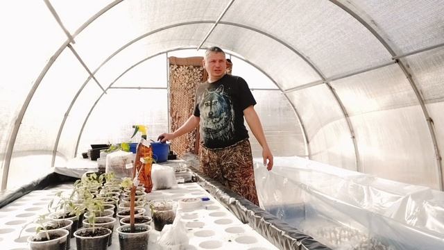 Нас одной волне.Тепло, светло и мухи не кусают.Ачма на ужин.