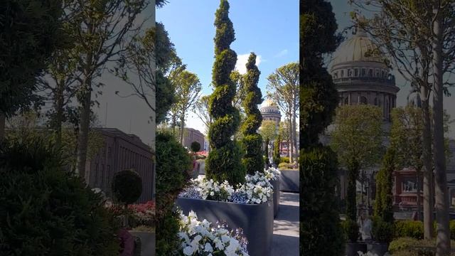 САНКТ-ПЕТЕРБУРГ ЛИПОВЫЙ САД.. ИЮНЬ 2023 ГОД...🌺🌺🌺🌺🌺🌺