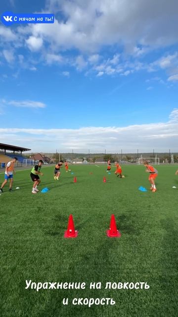 Упражнение на ловкость и скорость / Exercise for agility and speed