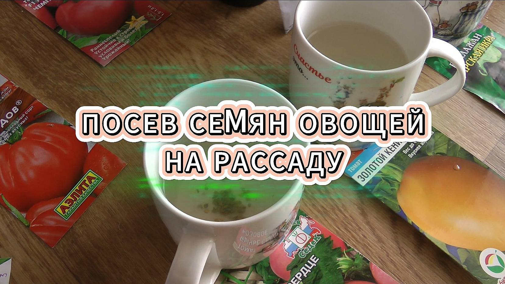 Посев семян овощей на рассаду.