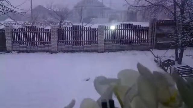 Затянувшаяся зима.