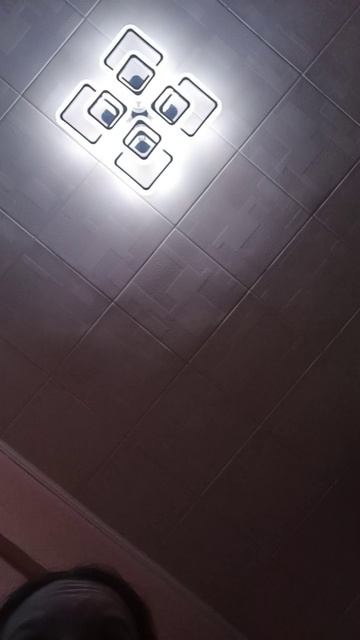 scene_output.mp44кк