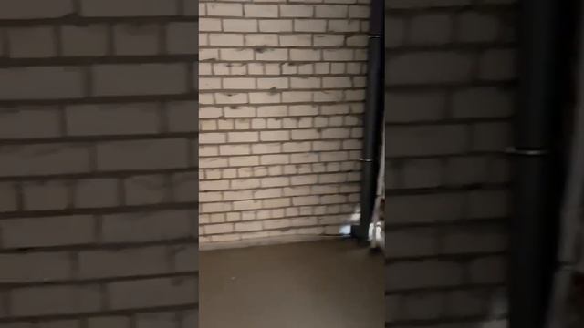 1 комн Сов 183 Г кв 23