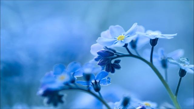 Гр. Ом - Мама