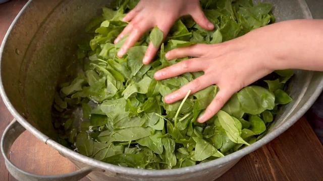 Заготовка шпината на зиму