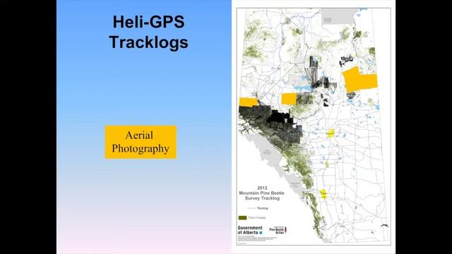 The Status of Mountain Pine Beetle in Alberta: Spring 2013