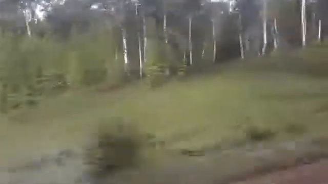 Природа у безумного лука (едем домой)