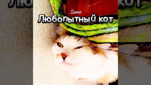 Suno - Любопытный кот (Трек ИИ) | Жизнь Кота