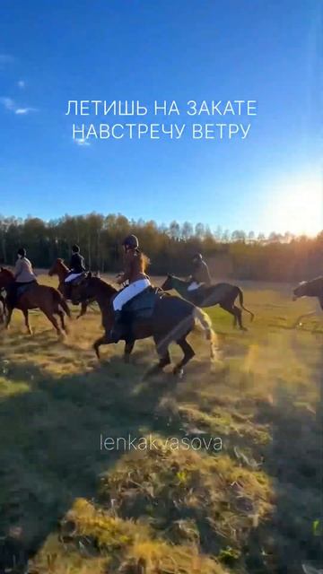 Заходи в мой телеграм / иг также по поиску «Лена, которая снимает» и я пришлю тебе всё инфо 💔