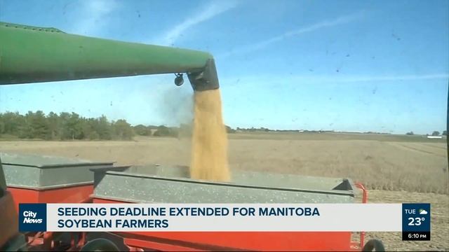 Seeding deadline extended for Manitoba soybean farmers