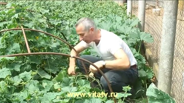 Правда " Псс, для вас только лучшее с: " Лук за самую честную правду! 😂