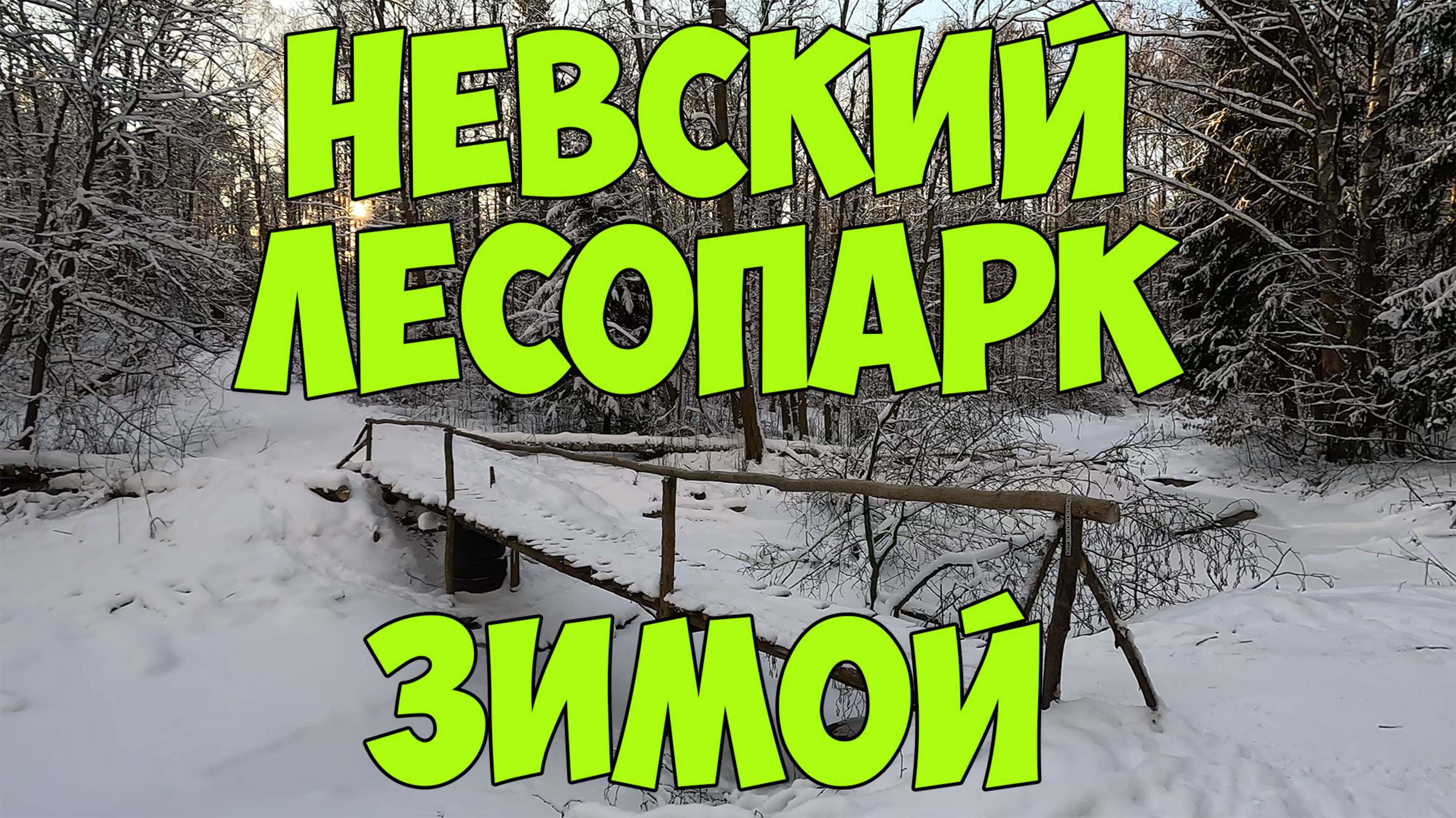 Невский лесопарк зимой