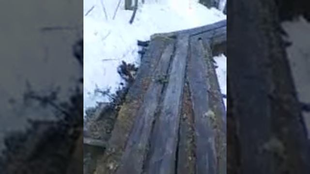 Избушка в лесу / обход владений
