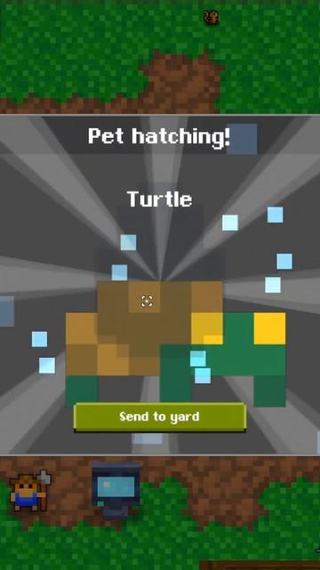 Common Aquatic Egg-Turtle