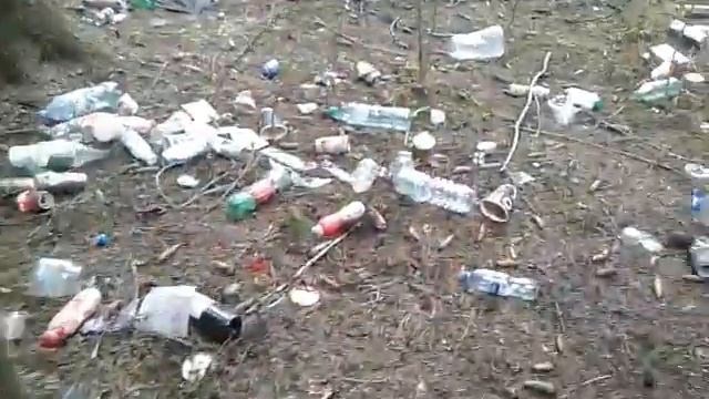 Мусор в лесу в окресностях Голицыно | runpatrol