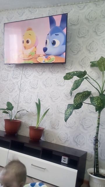 VID_20250208_171955.3gp