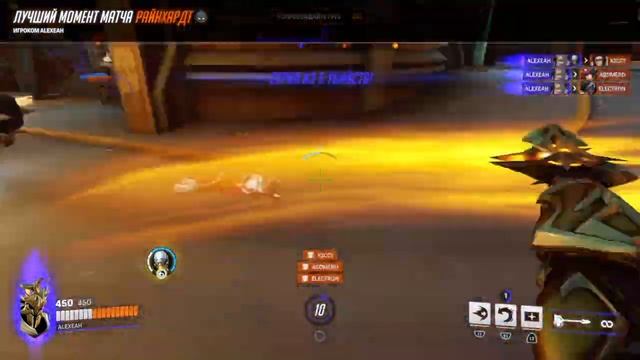Rein*