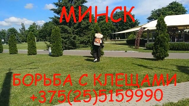 Акарицидная обработка в селе Силичи (Беларусь) дезинсекция от энцефалитных клещей.